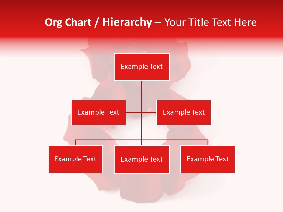 Congratulation Floral Multi PowerPoint Template