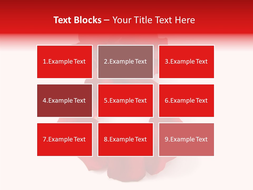 Congratulation Floral Multi PowerPoint Template