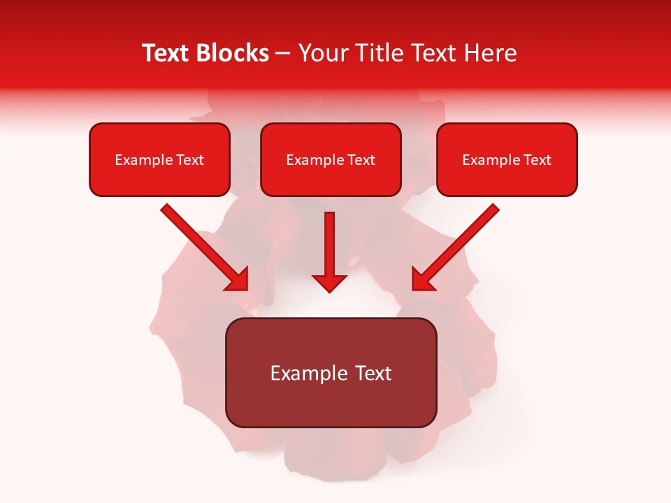 Congratulation Floral Multi PowerPoint Template