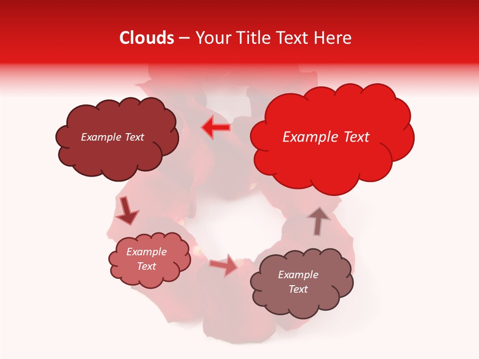 Congratulation Floral Multi PowerPoint Template