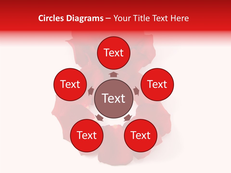 Congratulation Floral Multi PowerPoint Template