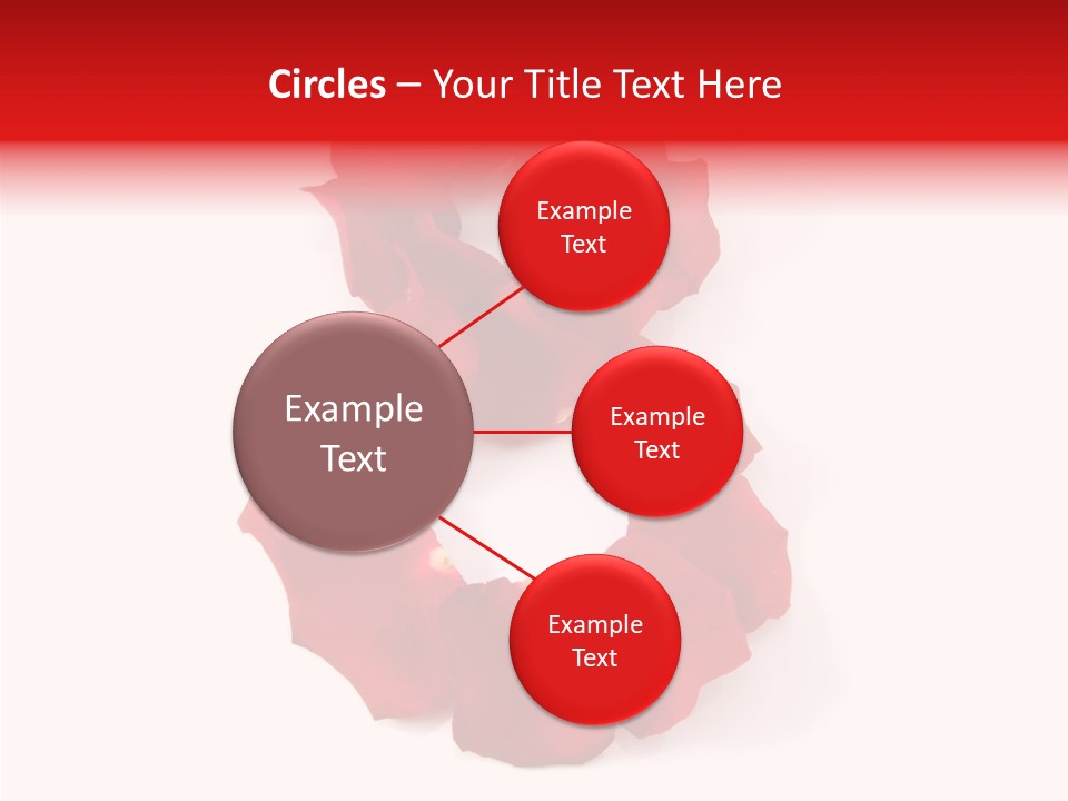 Congratulation Floral Multi PowerPoint Template