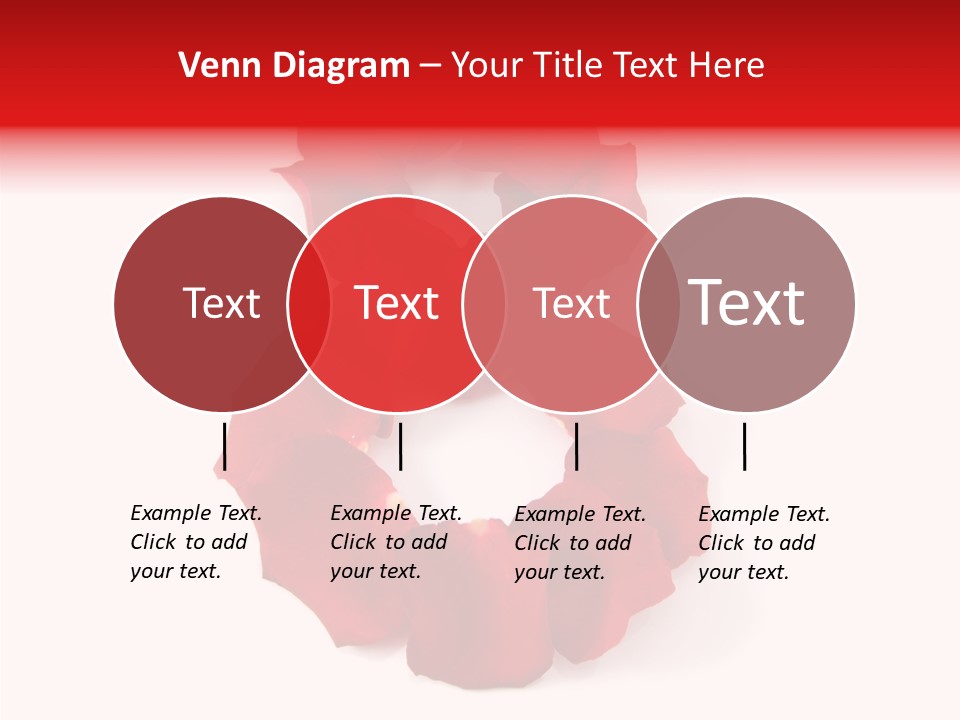 Congratulation Floral Multi PowerPoint Template
