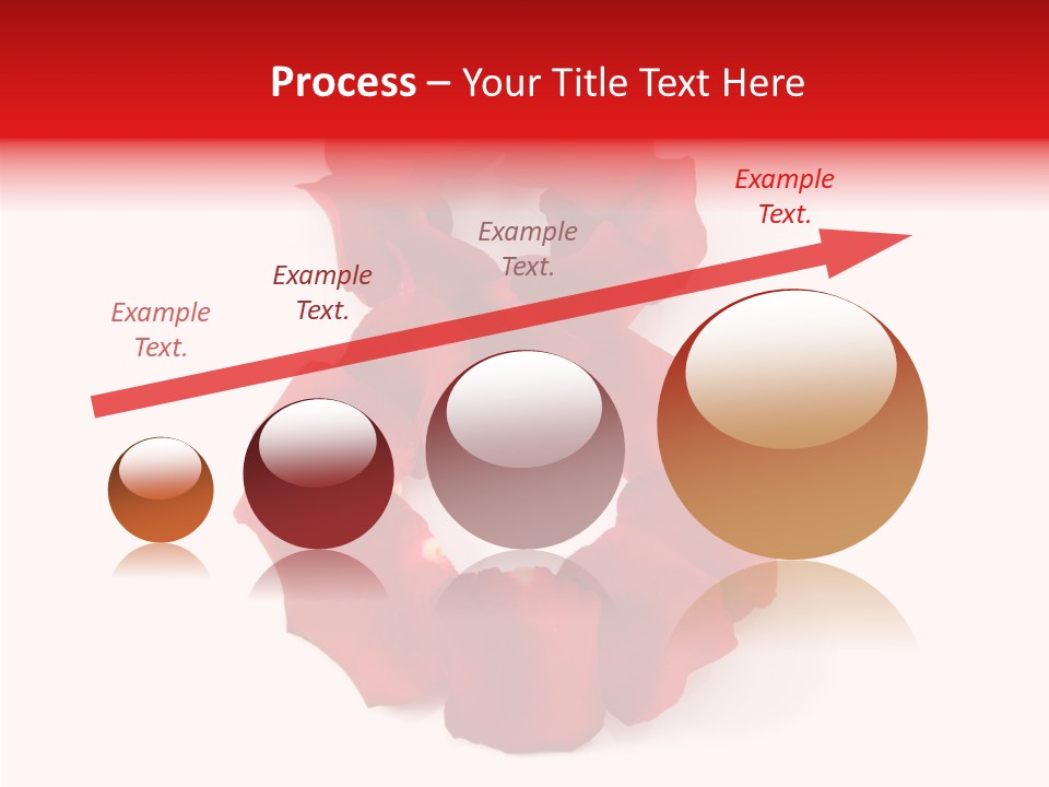 Congratulation Floral Multi PowerPoint Template