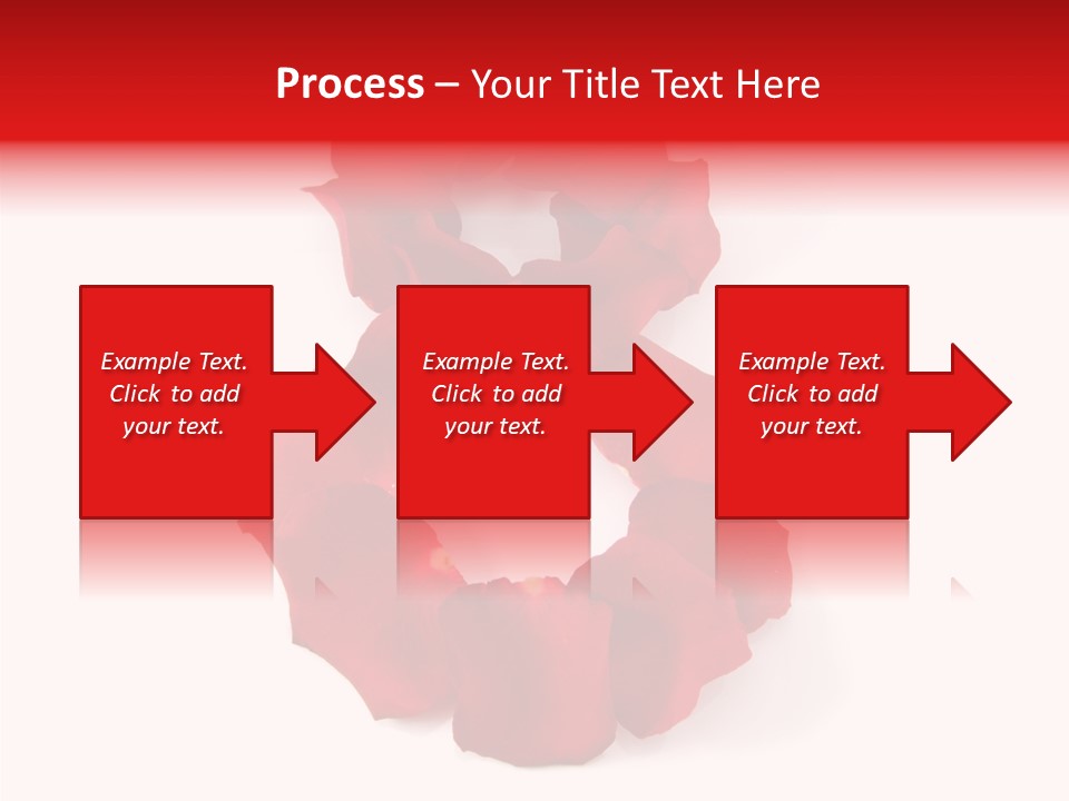 Congratulation Floral Multi PowerPoint Template