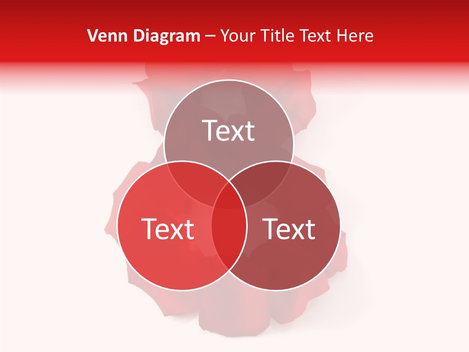 Congratulation Floral Multi PowerPoint Template