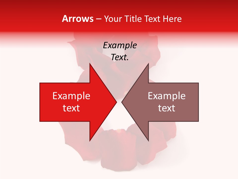 Congratulation Floral Multi PowerPoint Template