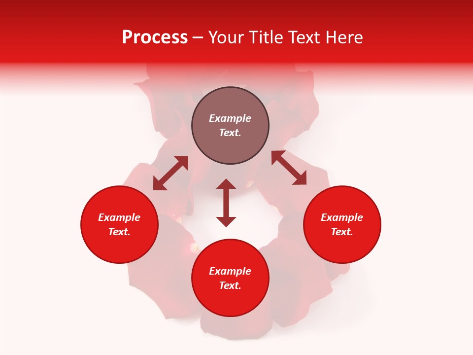 Congratulation Floral Multi PowerPoint Template