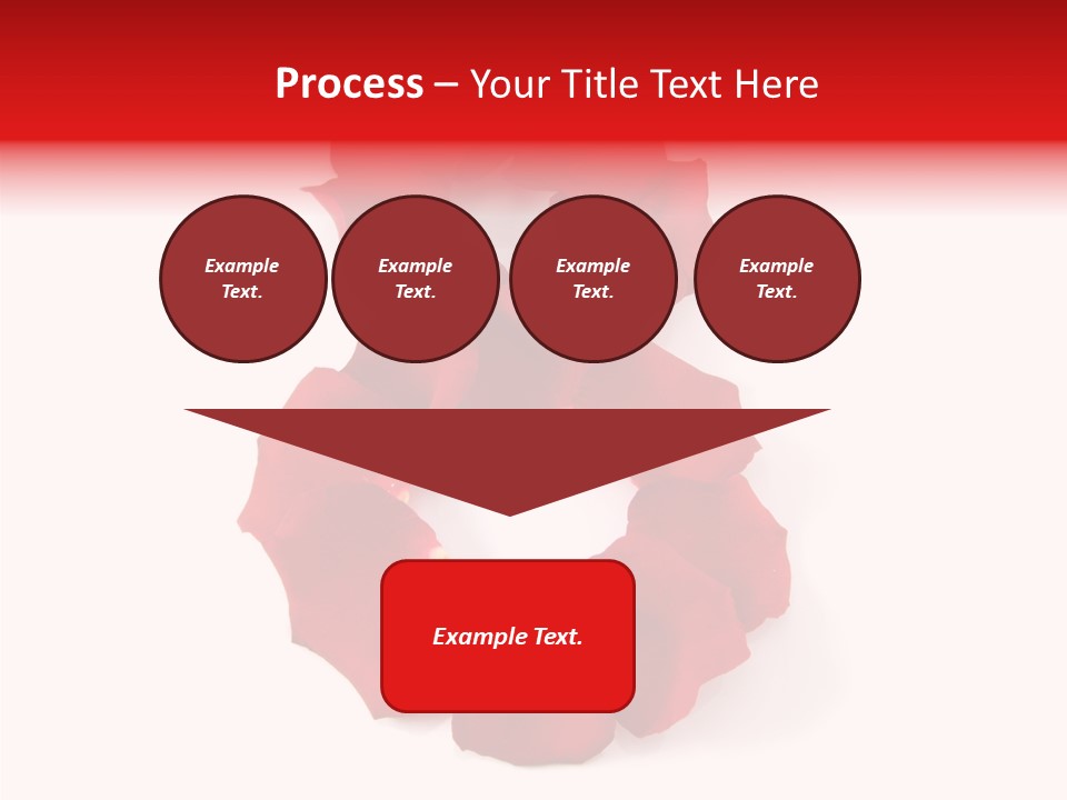 Congratulation Floral Multi PowerPoint Template