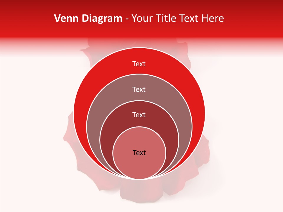 Congratulation Floral Multi PowerPoint Template