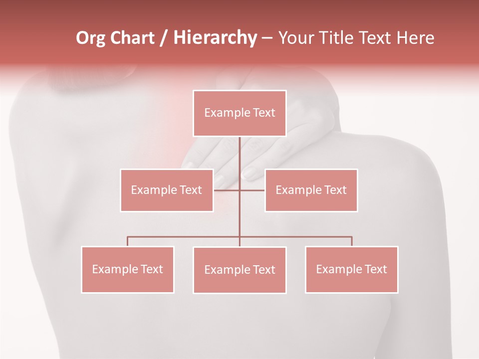 Shoulder Muscle Brown PowerPoint Template