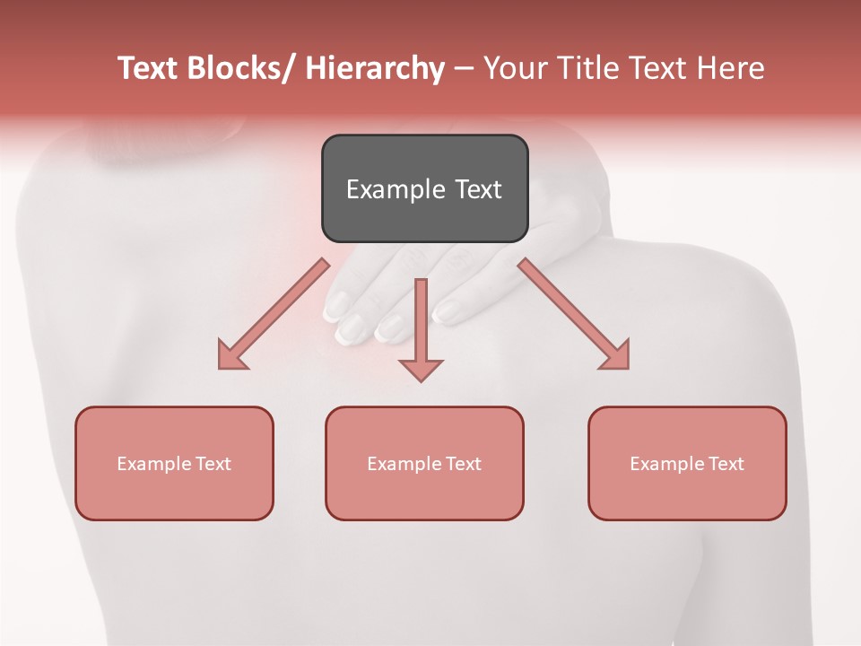 Shoulder Muscle Brown PowerPoint Template