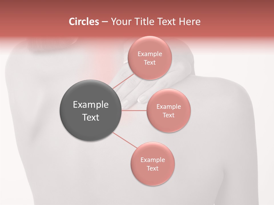 Shoulder Muscle Brown PowerPoint Template