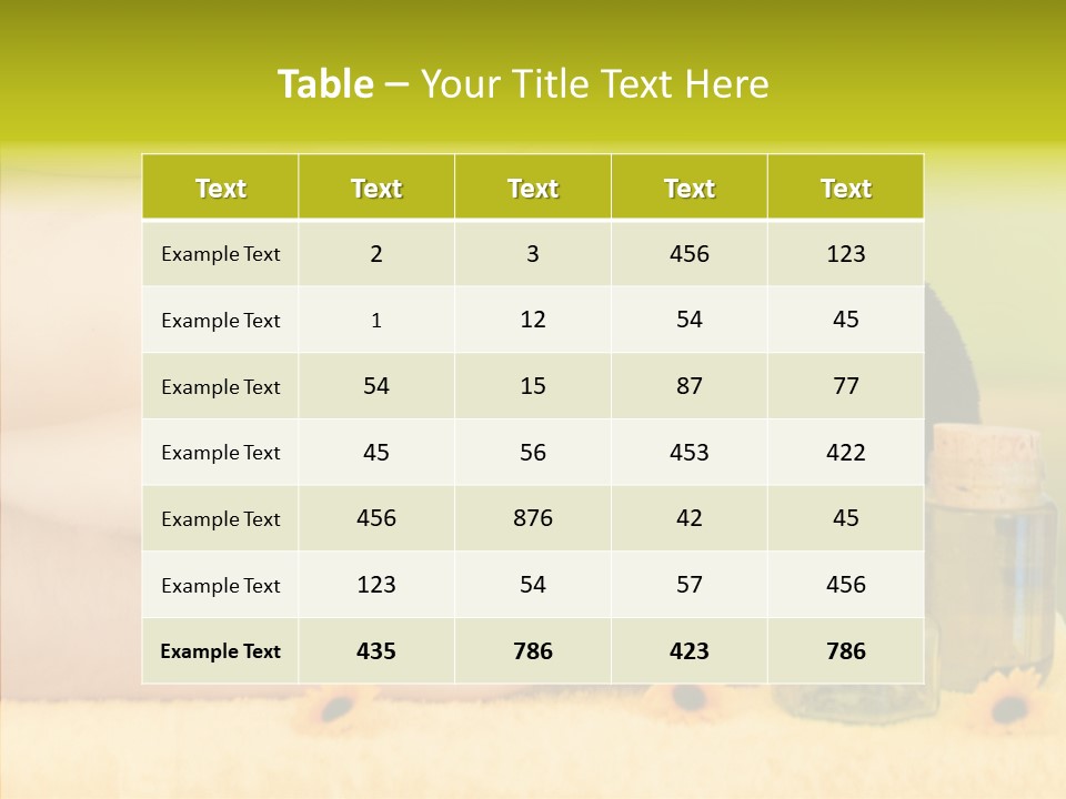 Meeting Table Company PowerPoint Template