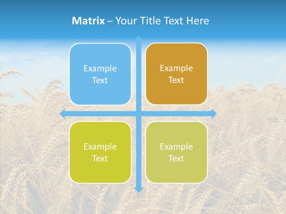 Agricultural Golden Spikelet PowerPoint Template
