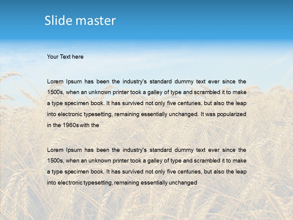 Agricultural Golden Spikelet PowerPoint Template