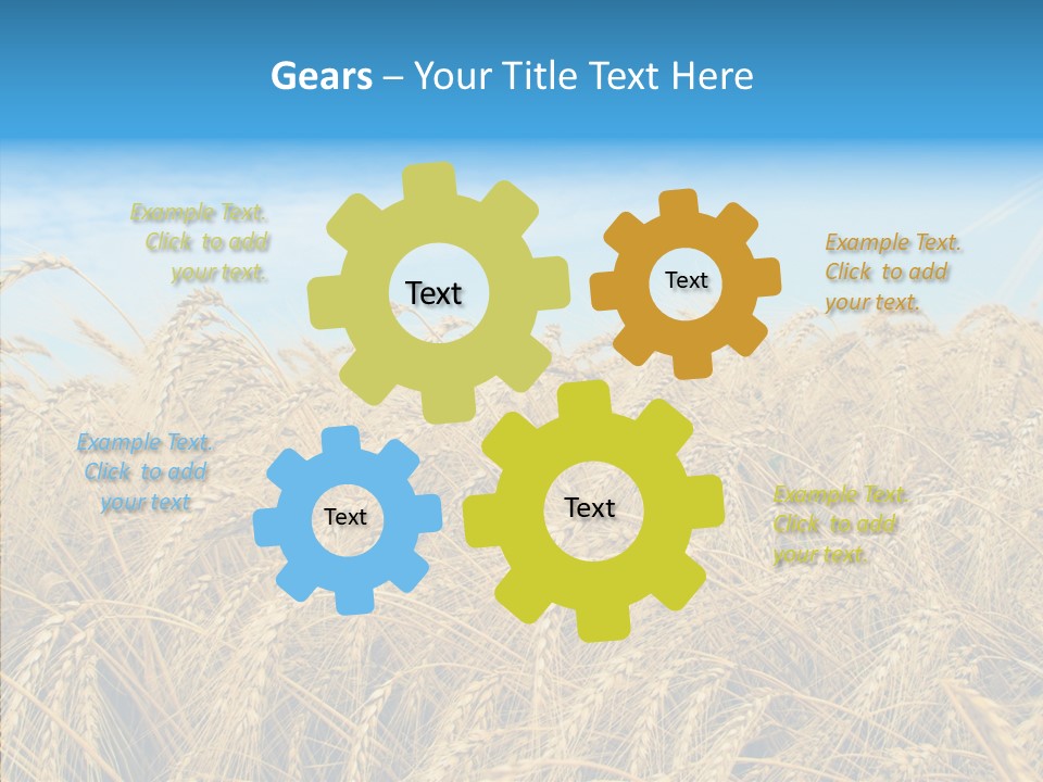 Agricultural Golden Spikelet PowerPoint Template