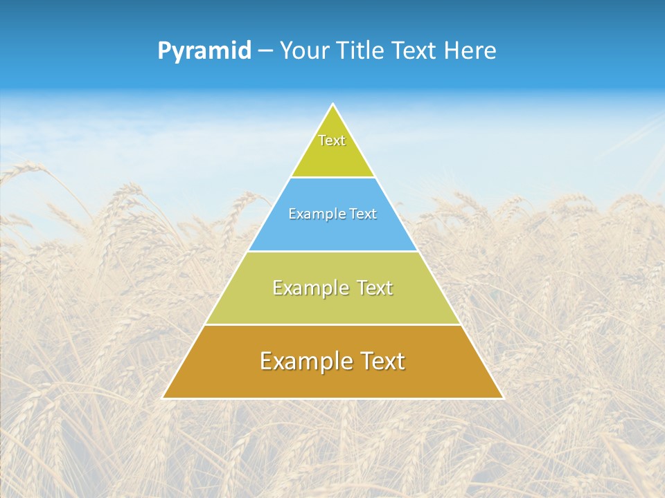 Agricultural Golden Spikelet PowerPoint Template