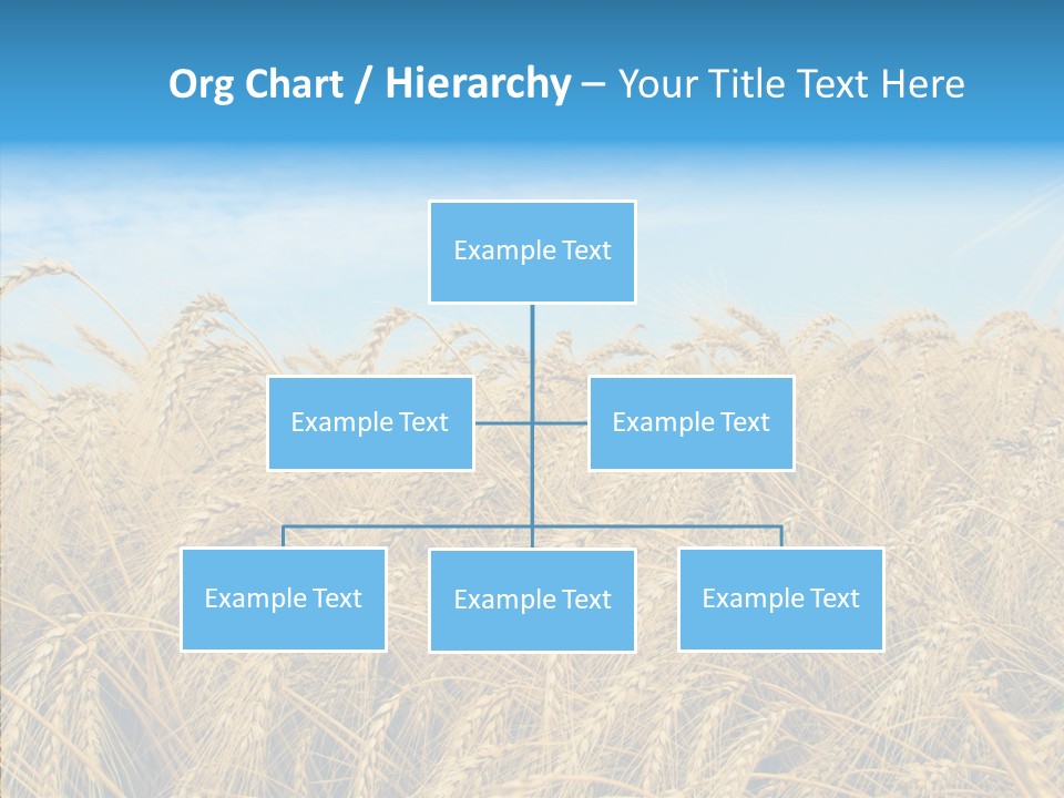 Agricultural Golden Spikelet PowerPoint Template