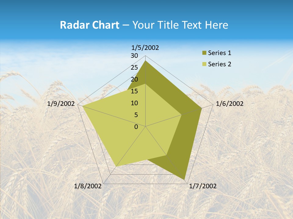Agricultural Golden Spikelet PowerPoint Template