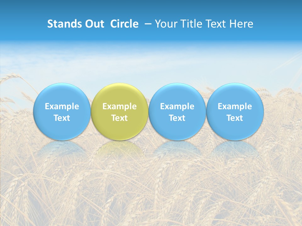 Agricultural Golden Spikelet PowerPoint Template