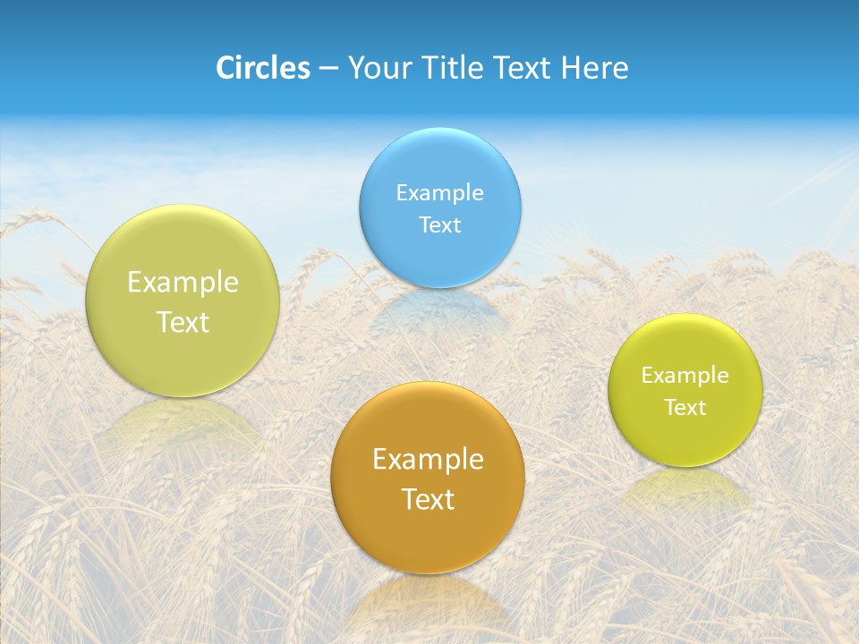 Agricultural Golden Spikelet PowerPoint Template