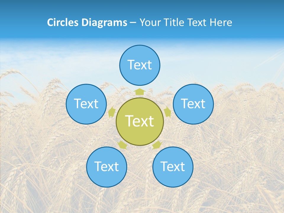 Agricultural Golden Spikelet PowerPoint Template