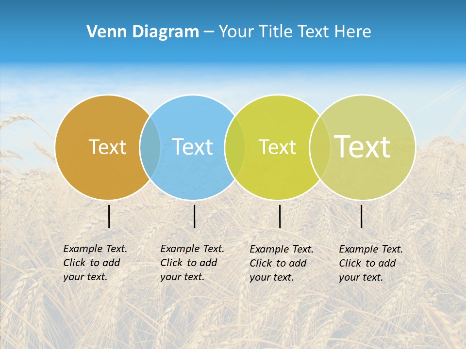 Agricultural Golden Spikelet PowerPoint Template