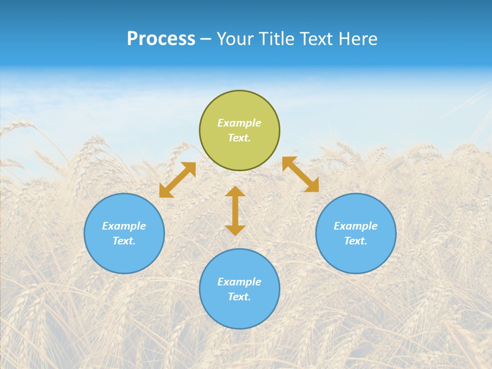 Agricultural Golden Spikelet PowerPoint Template