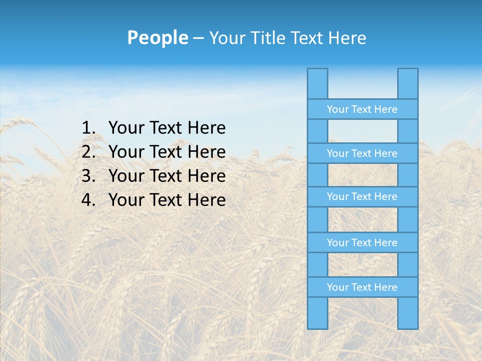 Agricultural Golden Spikelet PowerPoint Template