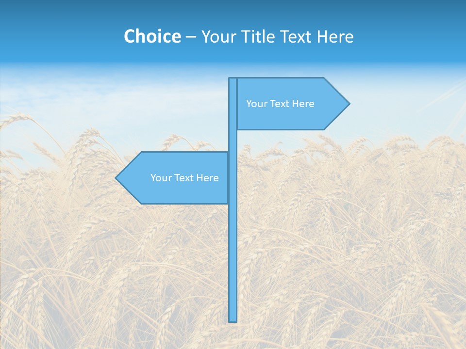 Agricultural Golden Spikelet PowerPoint Template