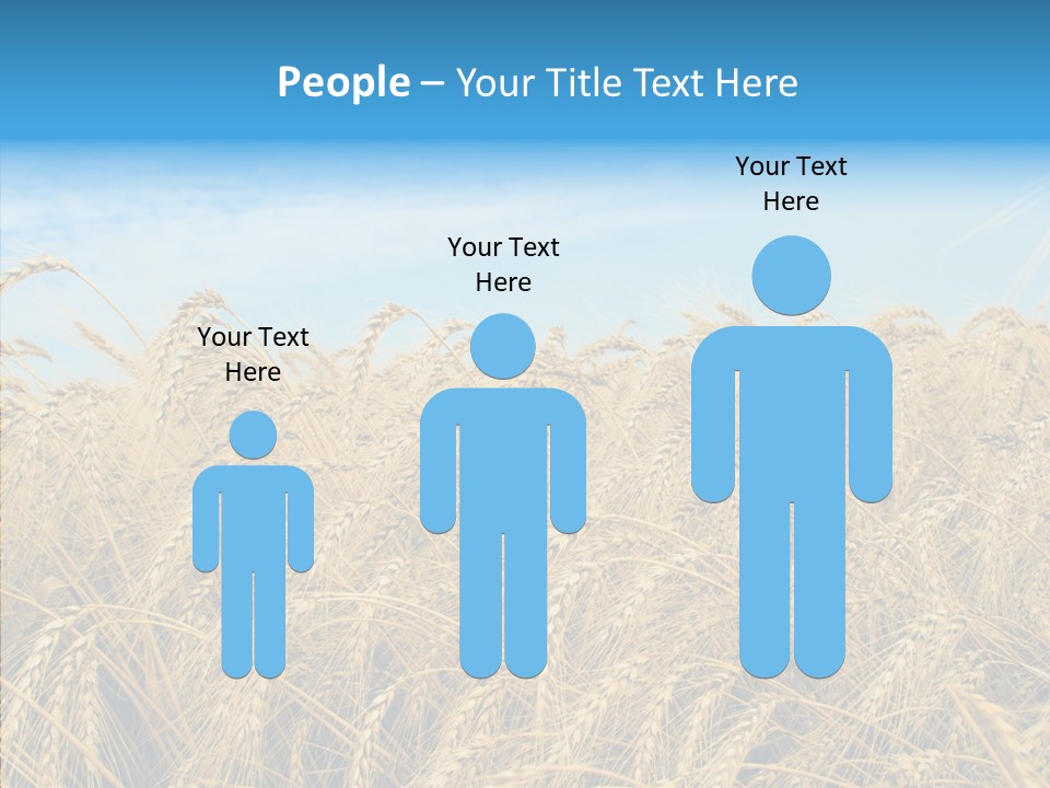 Agricultural Golden Spikelet PowerPoint Template