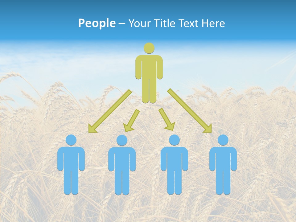 Agricultural Golden Spikelet PowerPoint Template