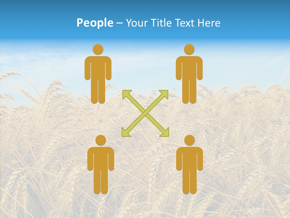Agricultural Golden Spikelet PowerPoint Template