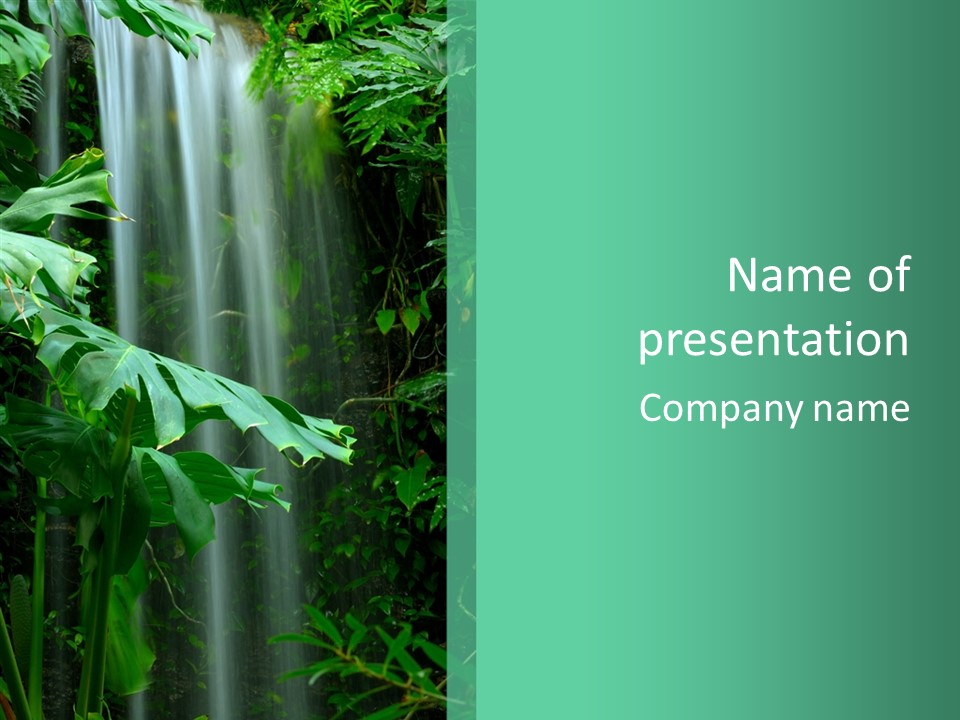 Leaf Spray Rain PowerPoint Template