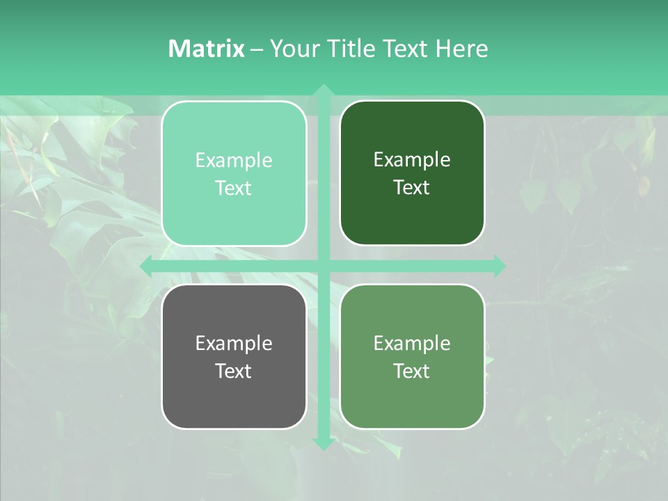 Leaf Spray Rain PowerPoint Template