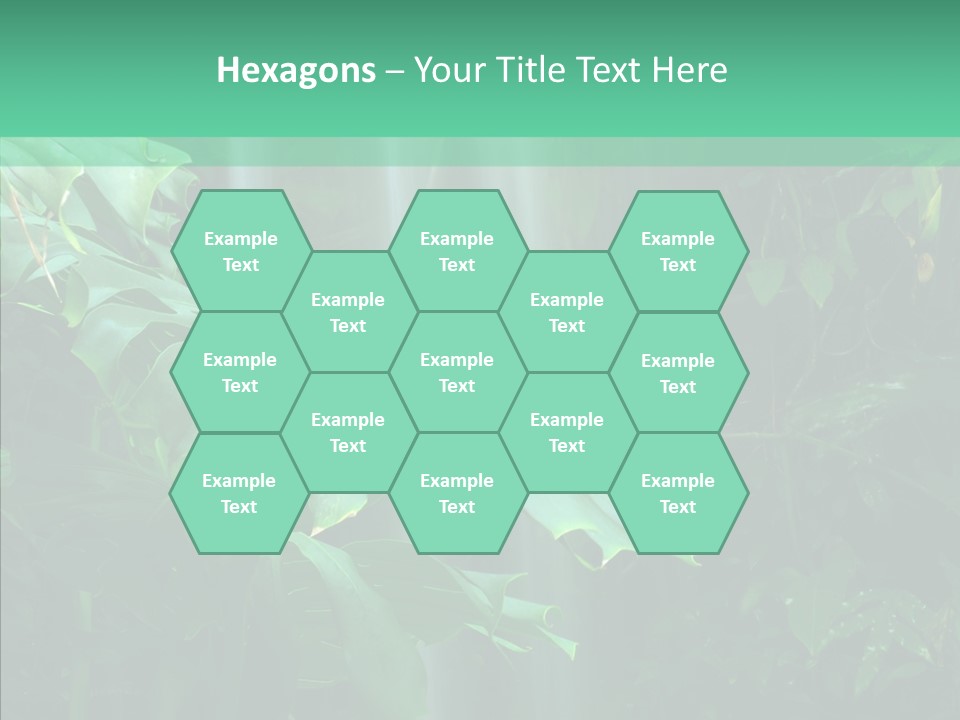 Leaf Spray Rain PowerPoint Template