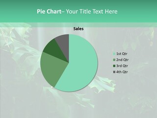 Leaf Spray Rain PowerPoint Template