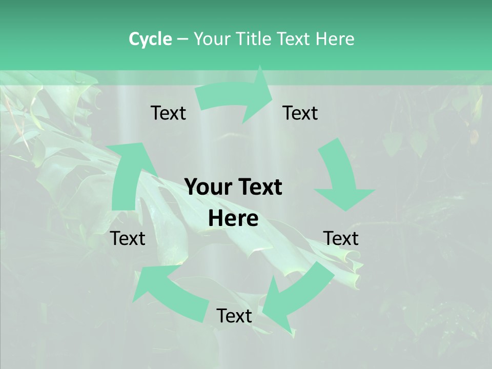 Leaf Spray Rain PowerPoint Template