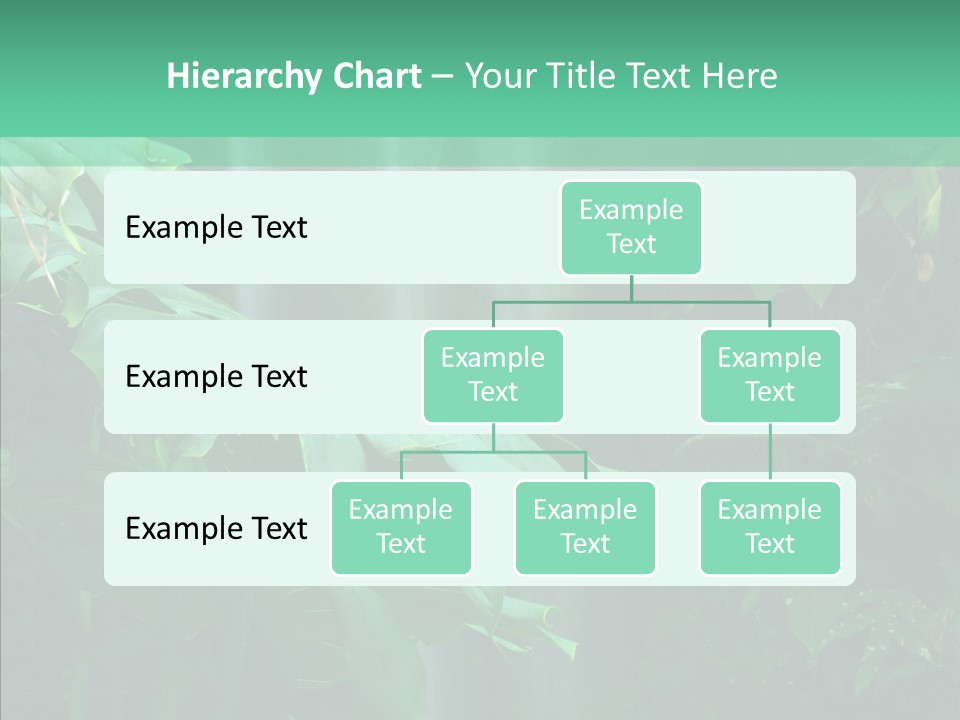 Leaf Spray Rain PowerPoint Template