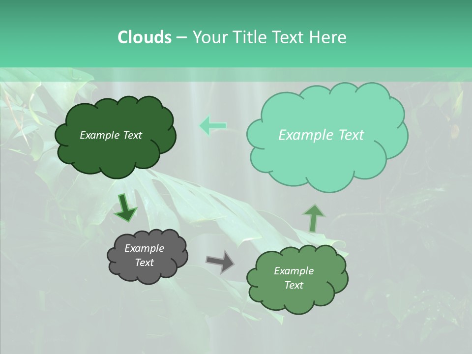 Leaf Spray Rain PowerPoint Template