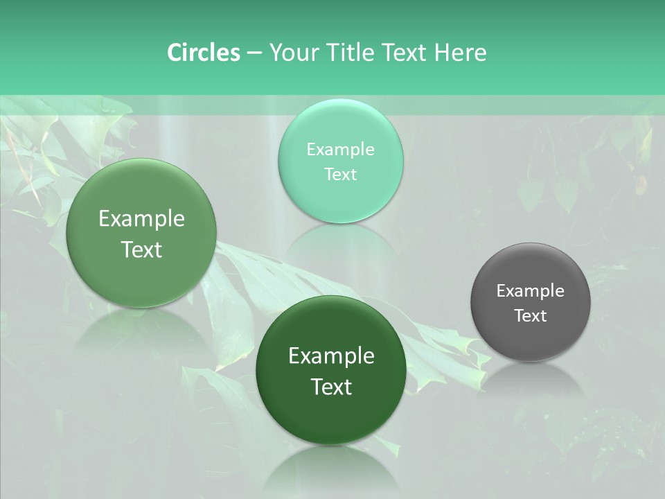 Leaf Spray Rain PowerPoint Template