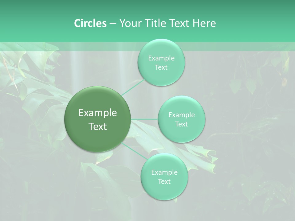 Leaf Spray Rain PowerPoint Template