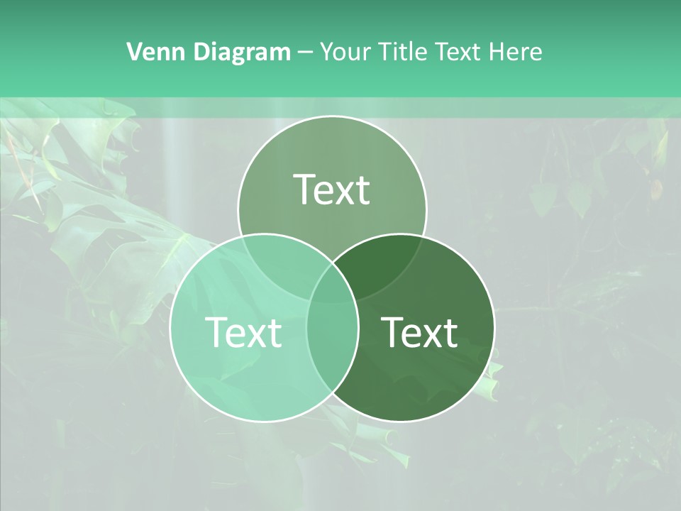 Leaf Spray Rain PowerPoint Template