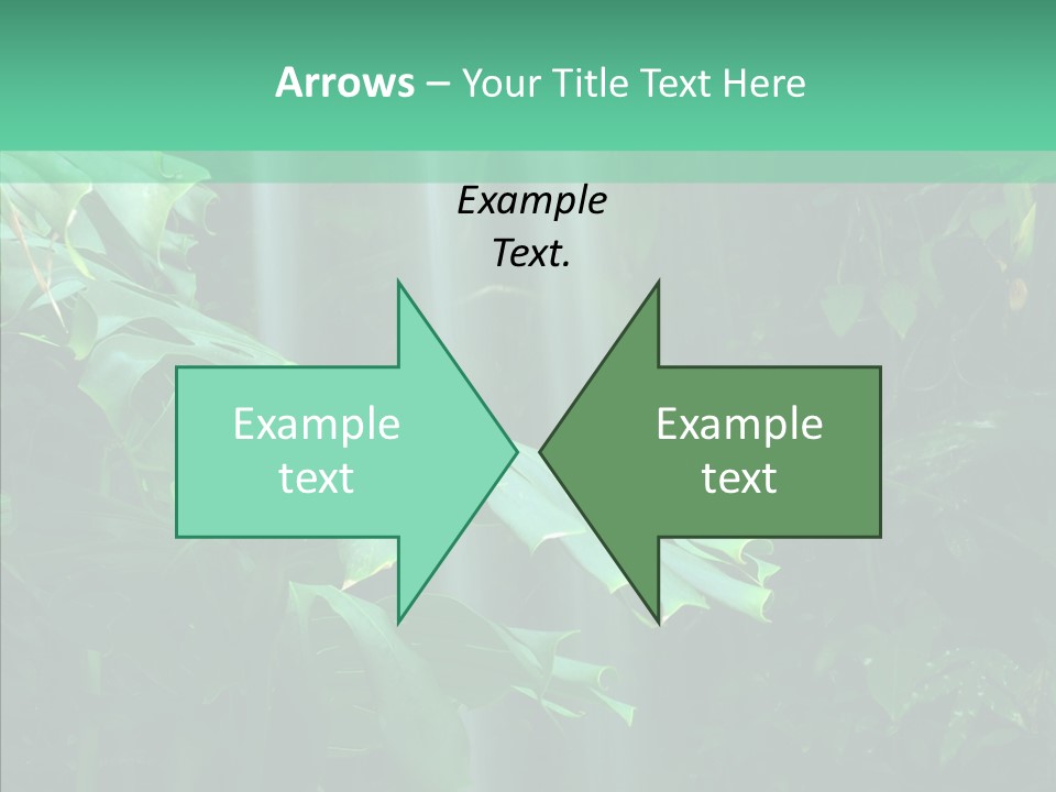 Leaf Spray Rain PowerPoint Template