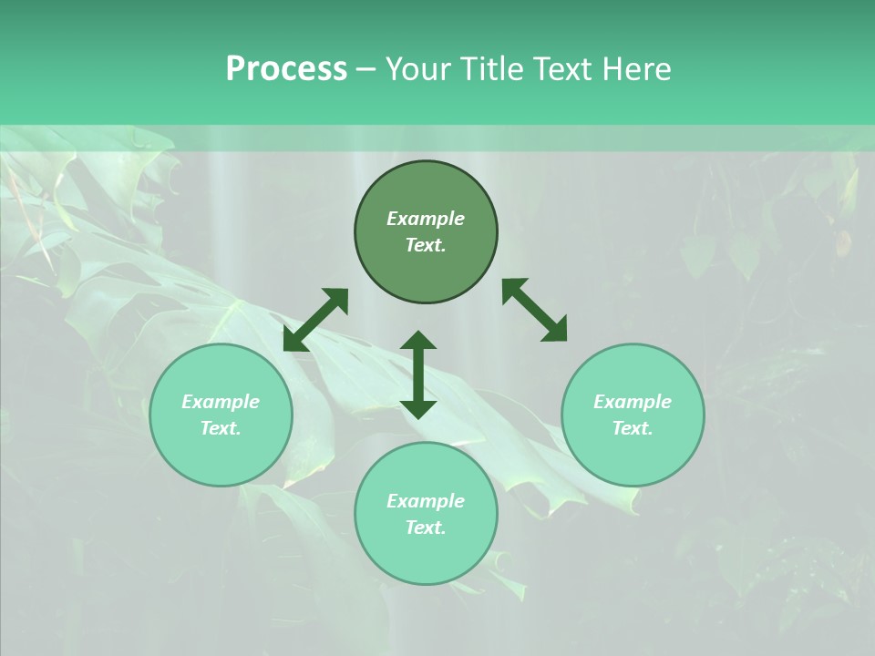 Leaf Spray Rain PowerPoint Template