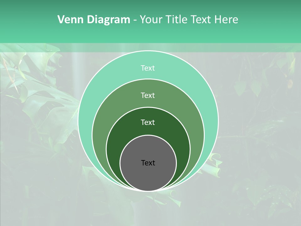 Leaf Spray Rain PowerPoint Template