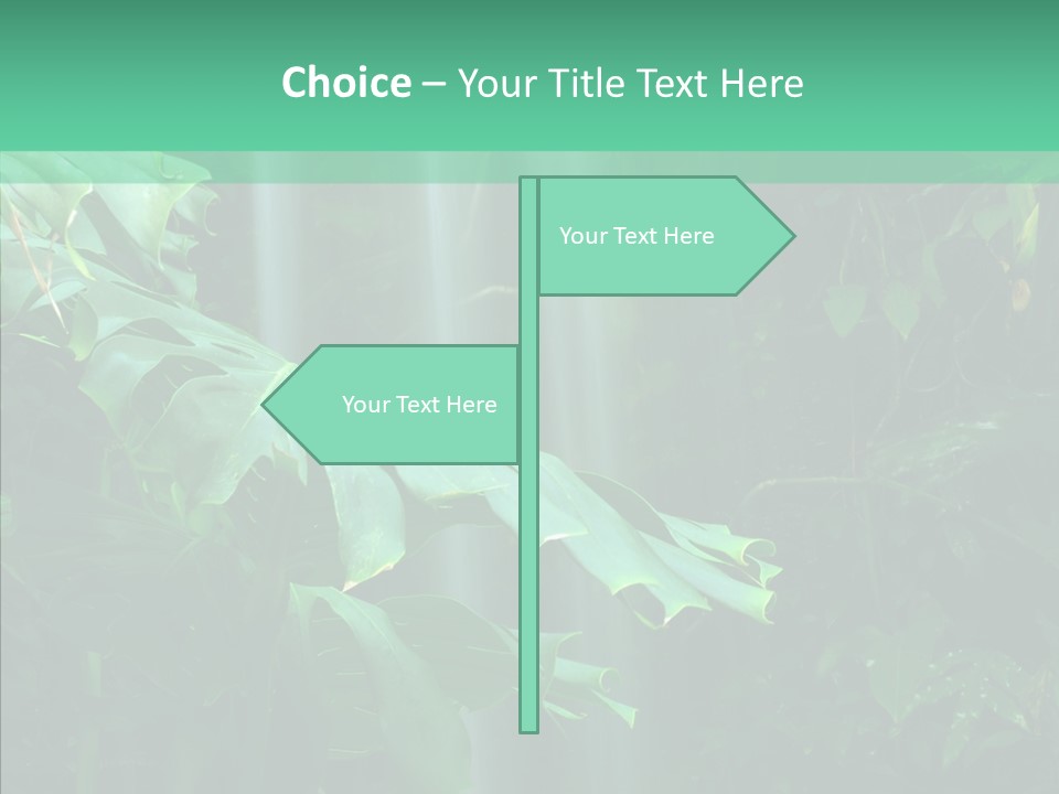 Leaf Spray Rain PowerPoint Template