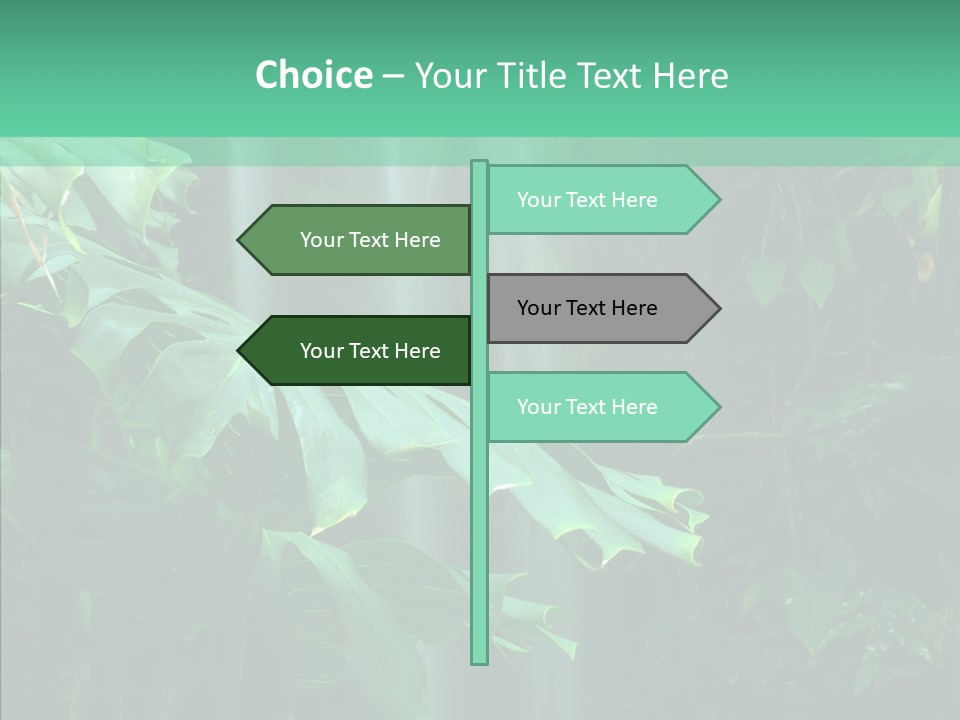 Leaf Spray Rain PowerPoint Template