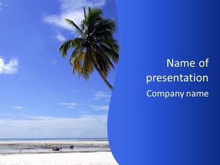 Look Tiny Studio PowerPoint Template